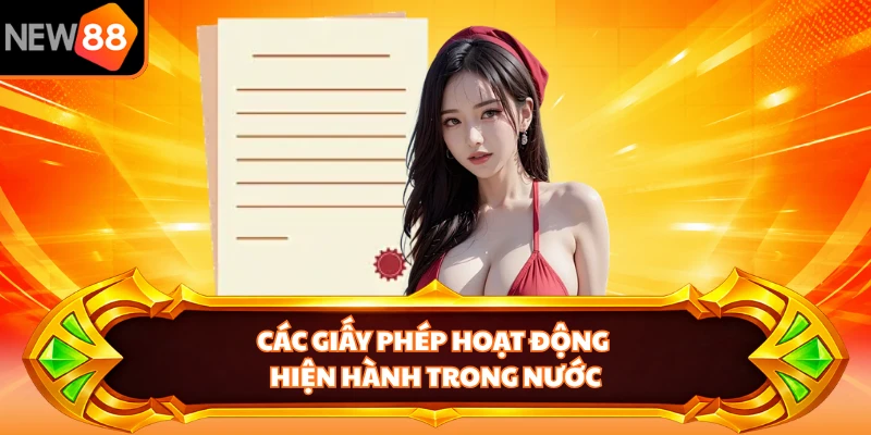 Các giấy phép hoạt động hiện hành trong nước 
