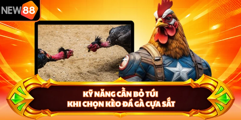 Kỹ năng cần bỏ túi khi chọn kèo đá gà cựa sắt