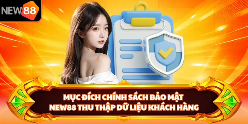  Mục đích chính sách bảo mật NEW88 thu thập dữ liệu khách hàng